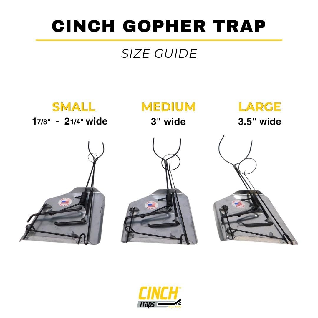 Cinch TRAPS SINCE 1909 trap next to a hand for scale to show compact size and easy handling
