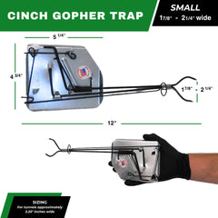 Cinch Traps installed in a gopher tunnel showing proper placement and effective control