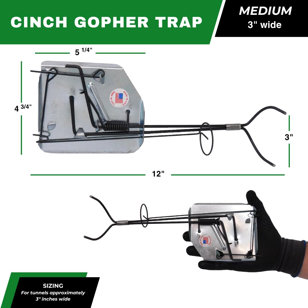 Cinch Traps placed in burrow entrance demonstrating effective placement
