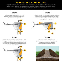 Cinch Traps held in hand for scale showing compact size and easy handling