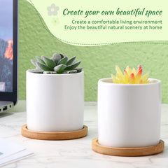 Cindeer bamboo tray with pots catching excess water to protect surfaces