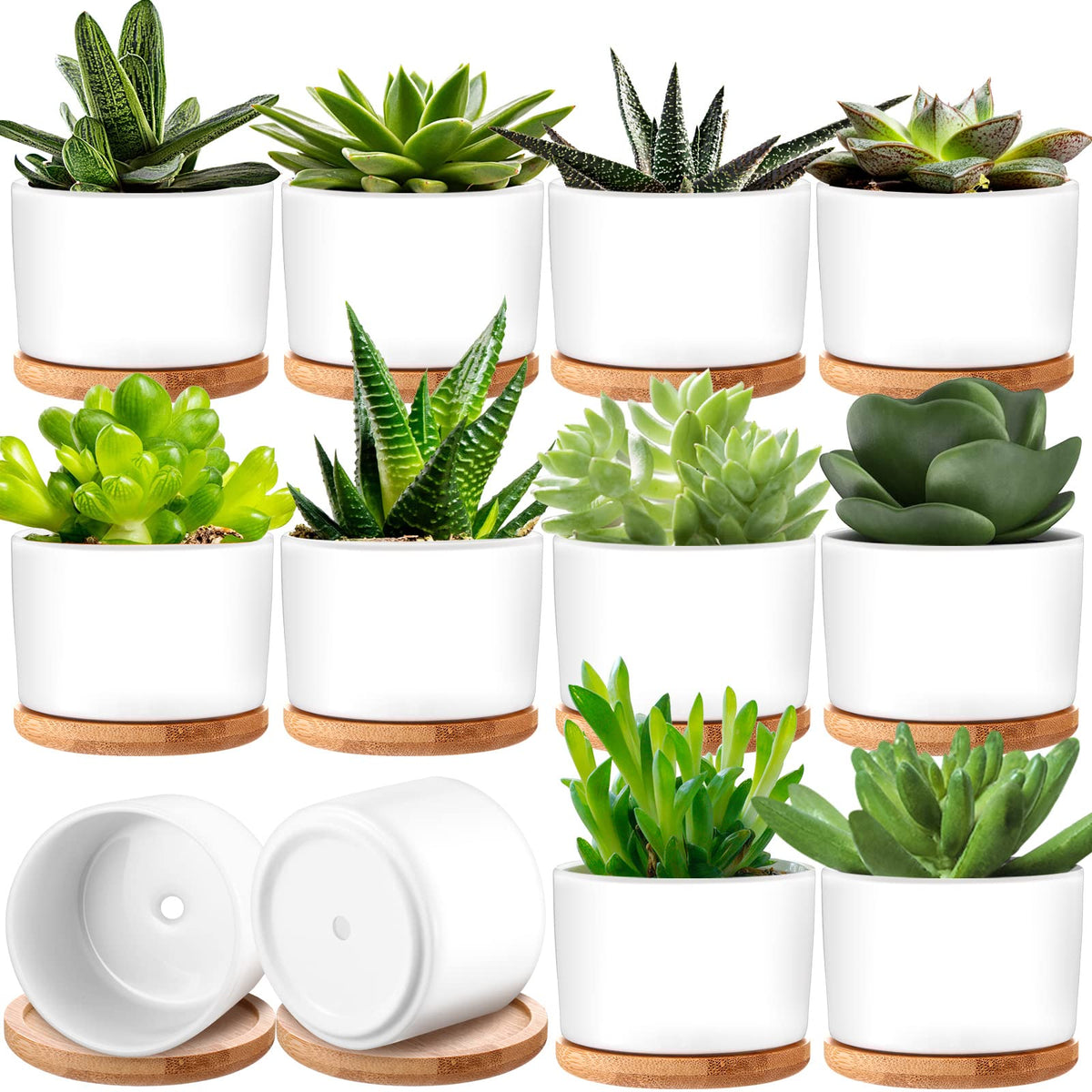 Cindeer front view of white ceramic pot set showing neat minimalist look and cohesion