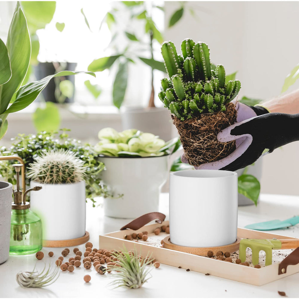 Cindeer pot used as pen holder showing versatile storage and tidy desk benefit