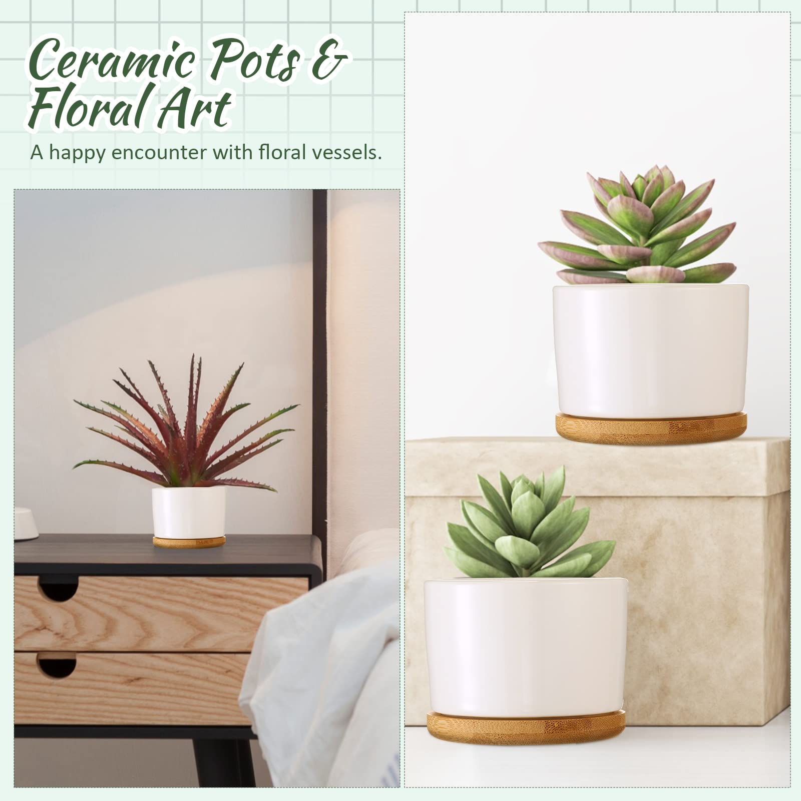 Cindeer pots on office windowsill showing bright decor and low-maintenance greenery
