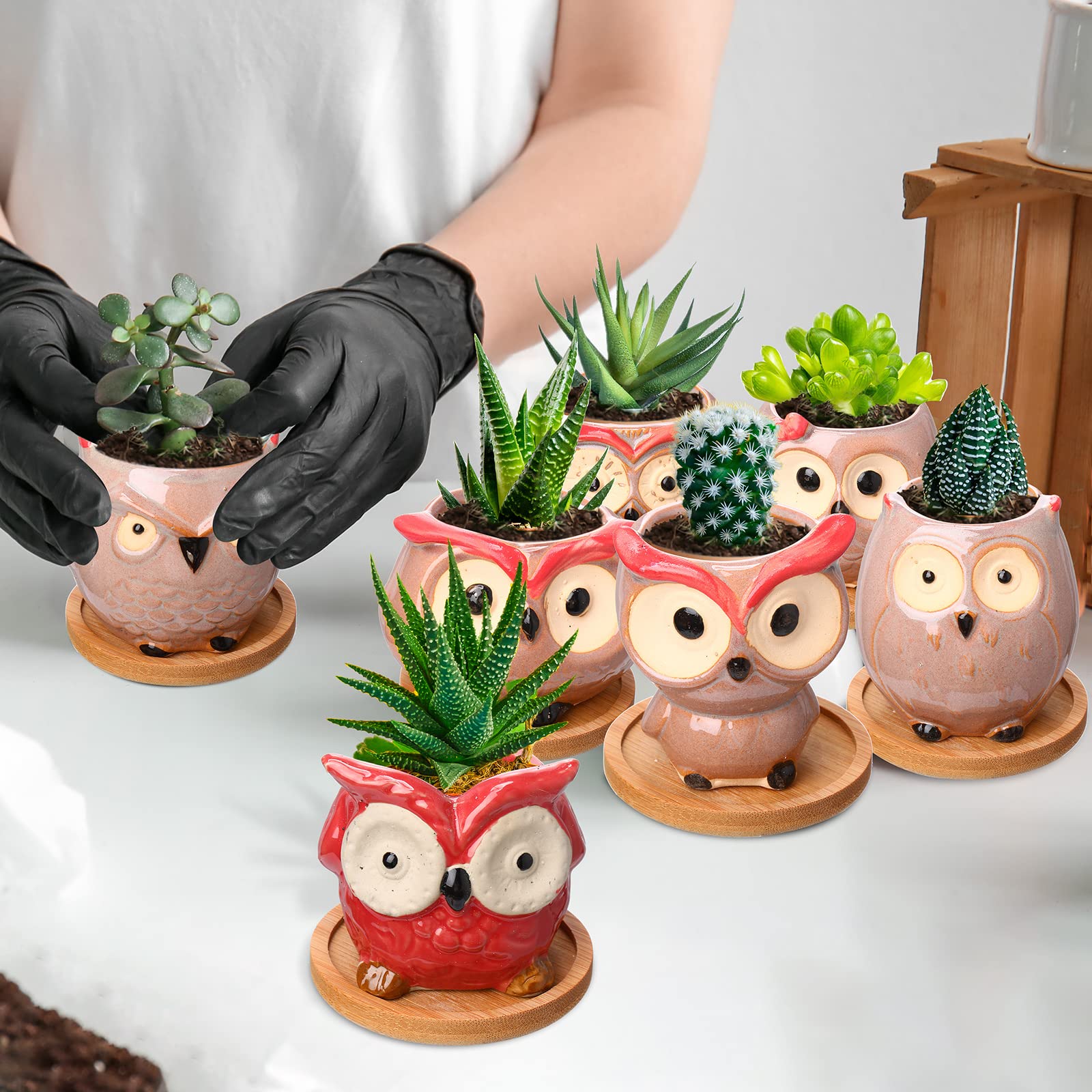 Cindeer hand holding a 2.5-inch owl planter to show scale and small-plant suitability