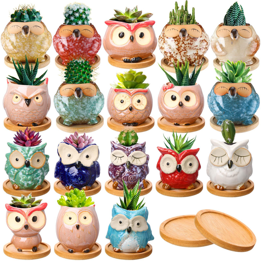 Cindeer front view of 18 owl ceramic planters showing cute designs and glaze, charming desk display