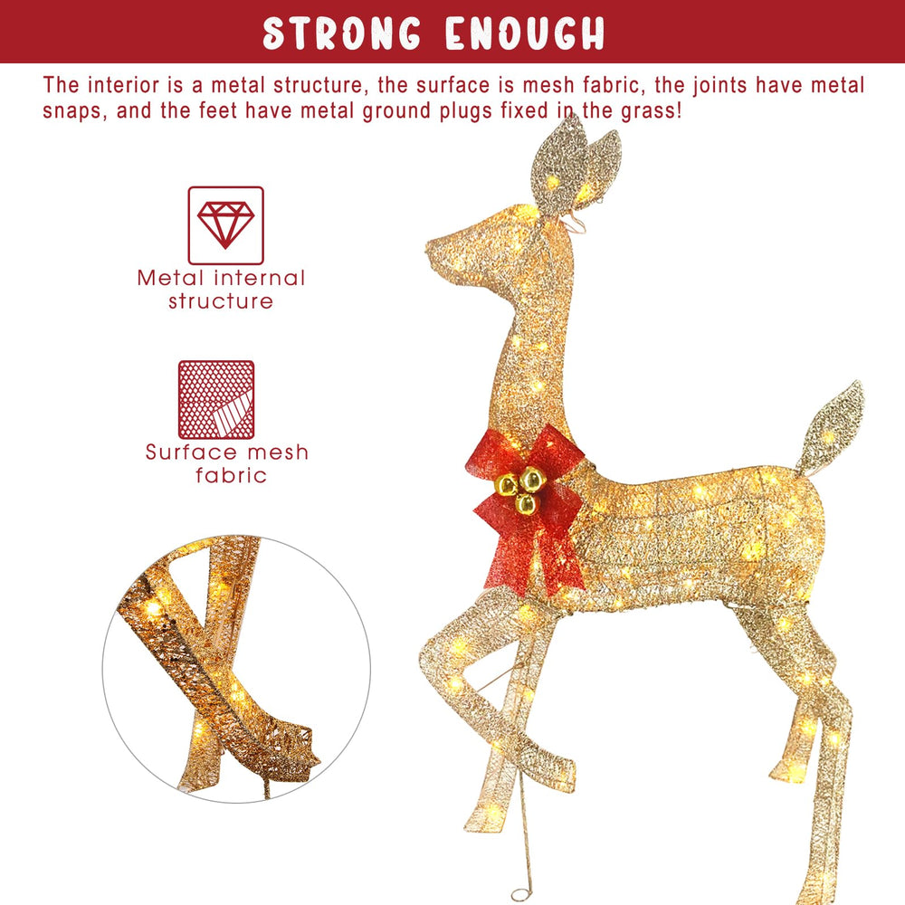 CiniQ fawn and doe together showing family grouping for yard storytelling