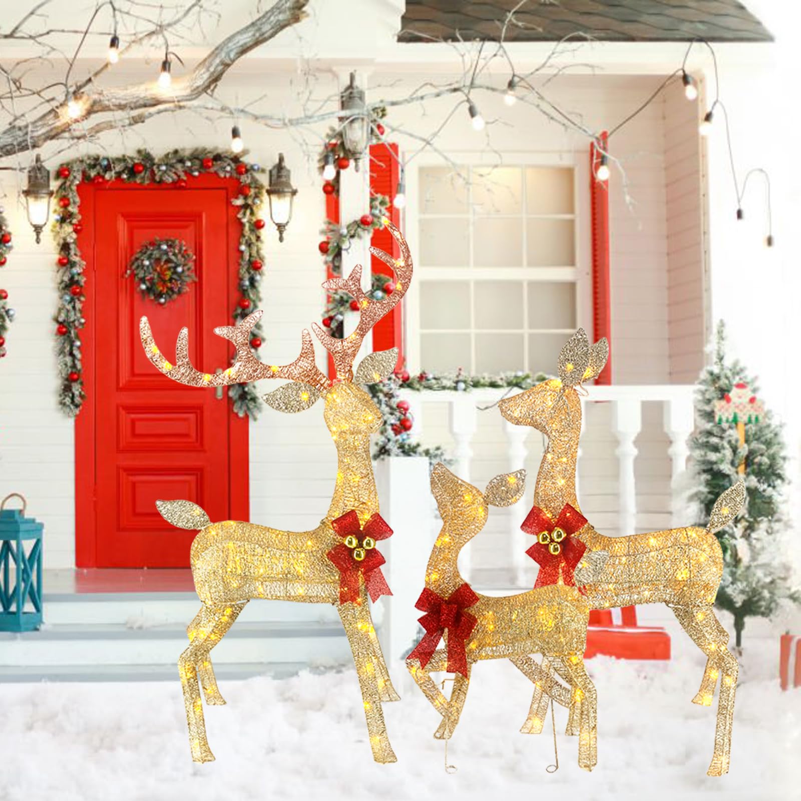 CiniQ night yard lit scene showing cozy ambiance and festive outdoor display