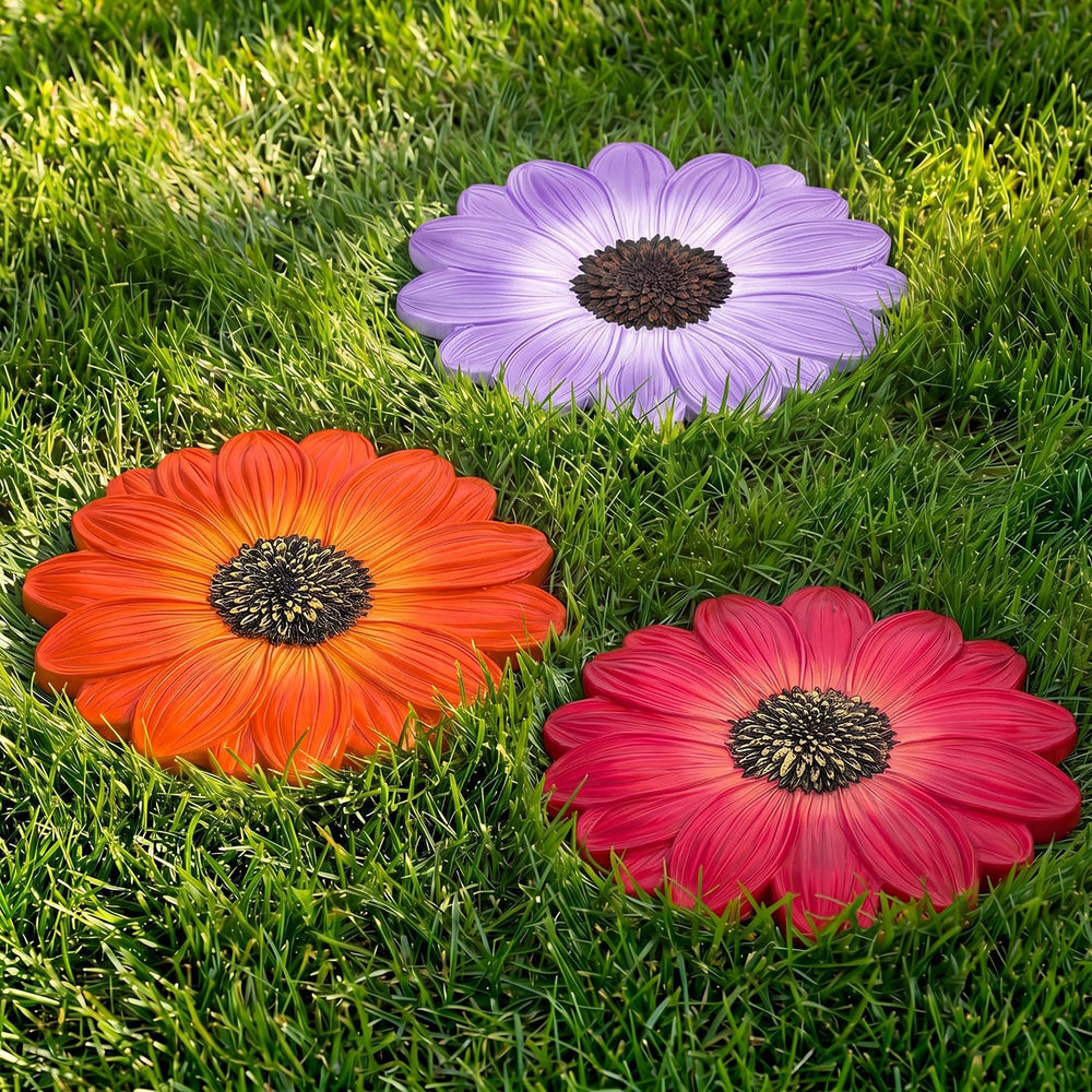 Cinnvoice daisy stepping stones front view shows decorative floral appeal and instant color