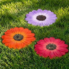 Cinnvoice daisy stepping stones front view shows decorative floral appeal and instant color