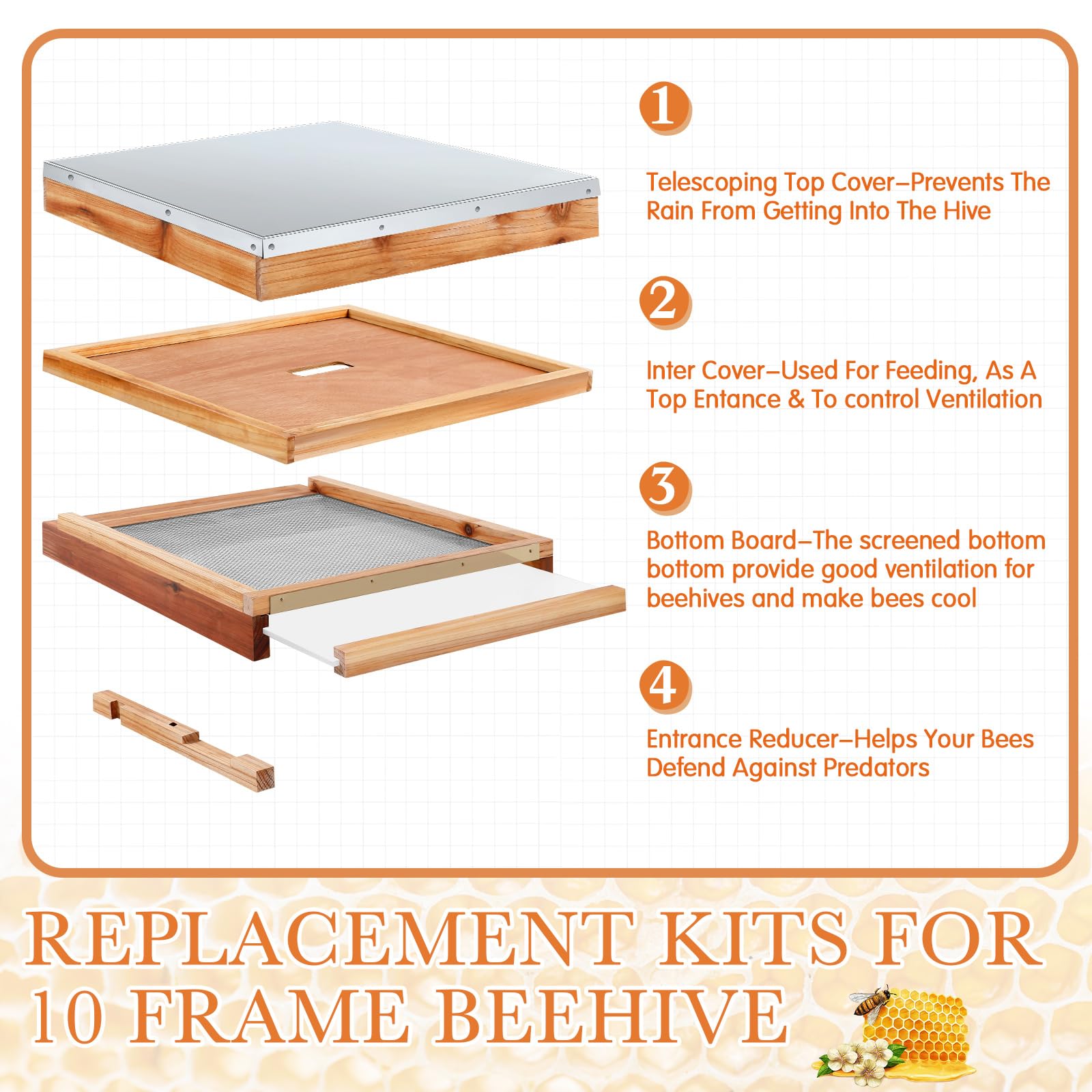 Cinnvoice screened bottom board detail improving ventilation and mite monitoring