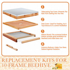 Cinnvoice screened bottom board detail improving ventilation and mite monitoring