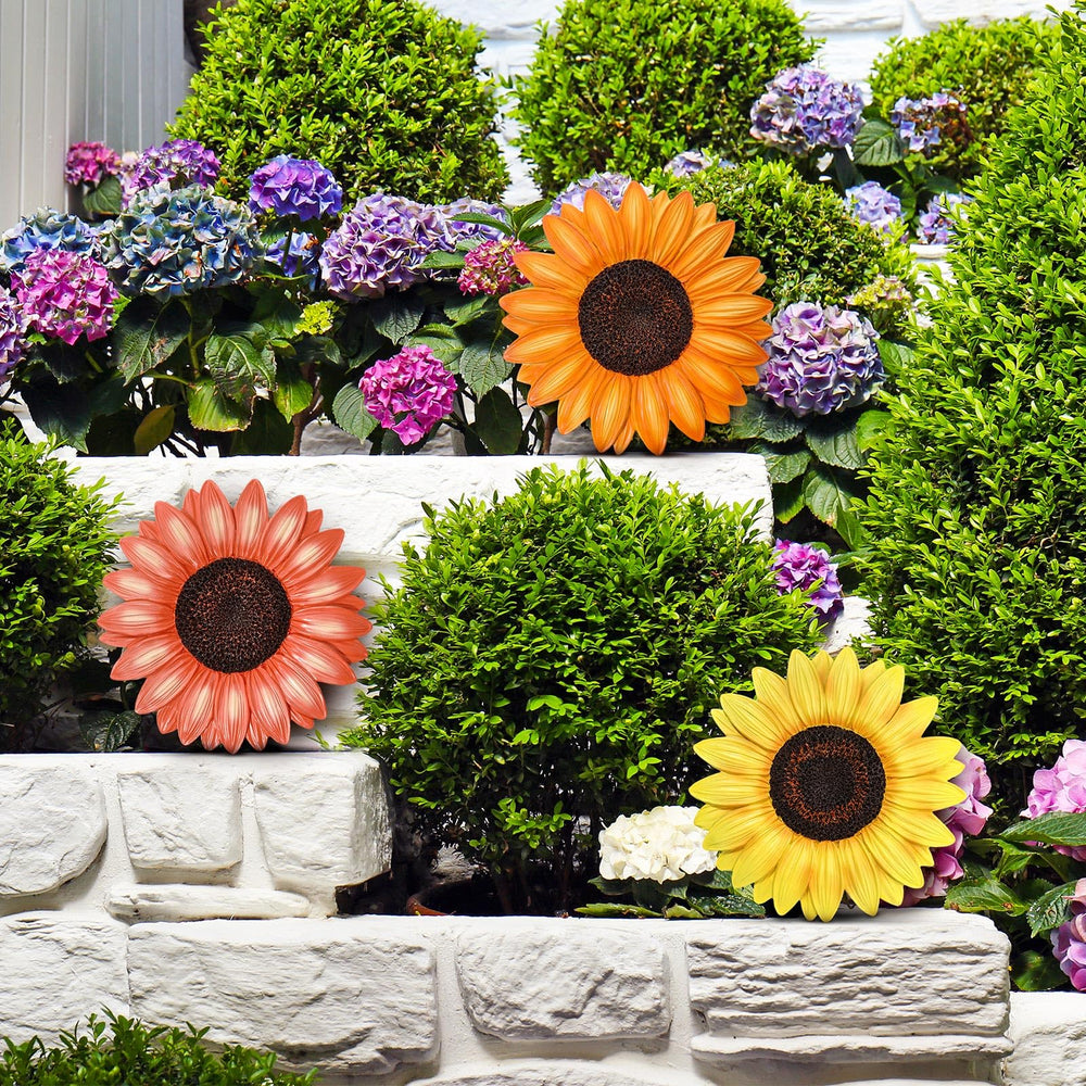 Cinnvoice sunflower stones arranged on garden pathway creating a cheerful walkway