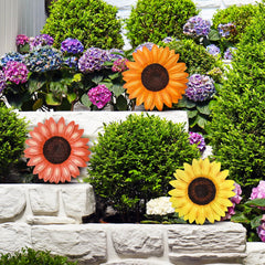 Cinnvoice sunflower stones arranged on garden pathway creating a cheerful walkway