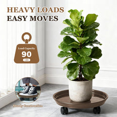 Circloophs plant on dolly in use moving a heavy pot easily, reduces lifting strain