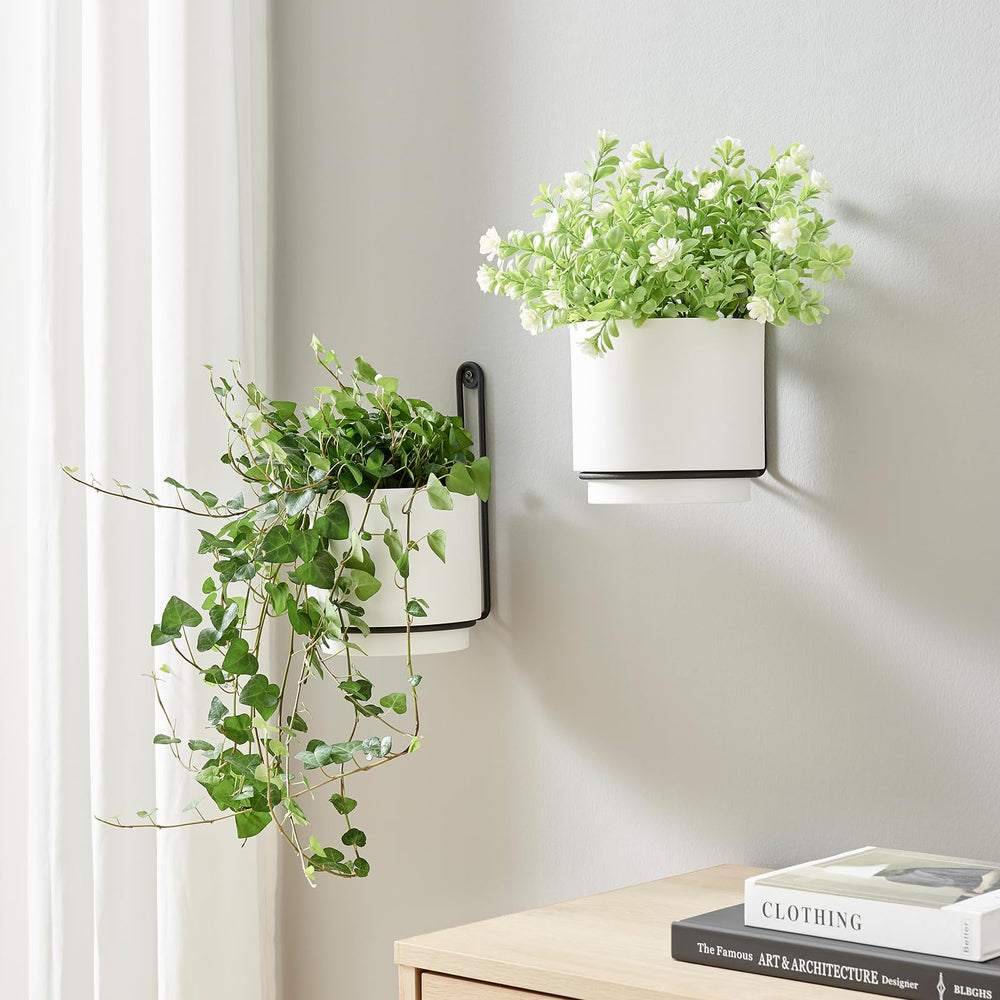 CISEANOL front view wall mounted planters showing modern white finish and compact design for space-saving