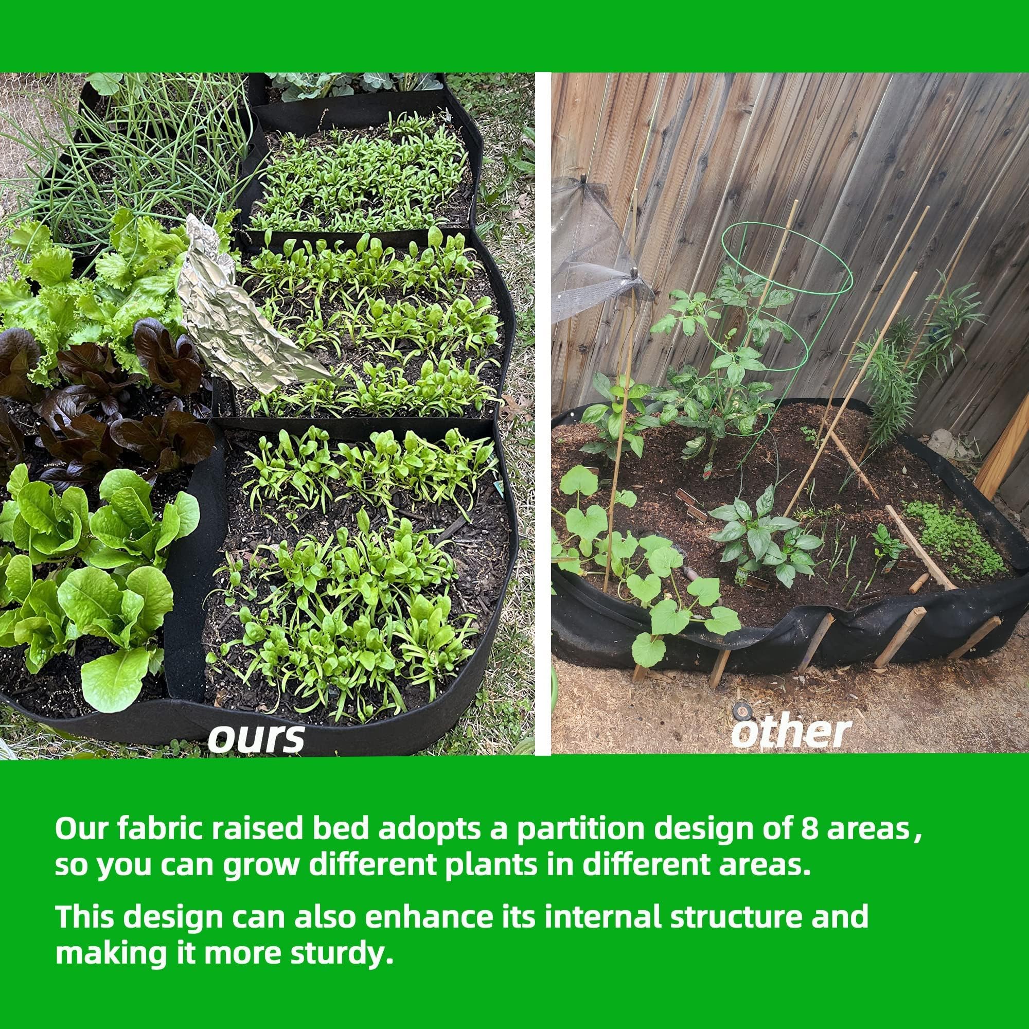 CJGQ closeup of 8-grid divisions demonstrating organized planting and easy maintenance