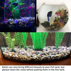 CJGQ stones as aquarium substrate providing natural look and safe inert material