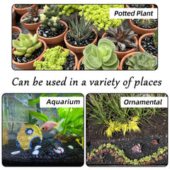 CJGQ aquarium bottom layer offering natural look and safe substrate