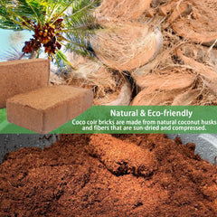 CJGQ close-up of expanded coco coir texture with airy fibers for root aeration