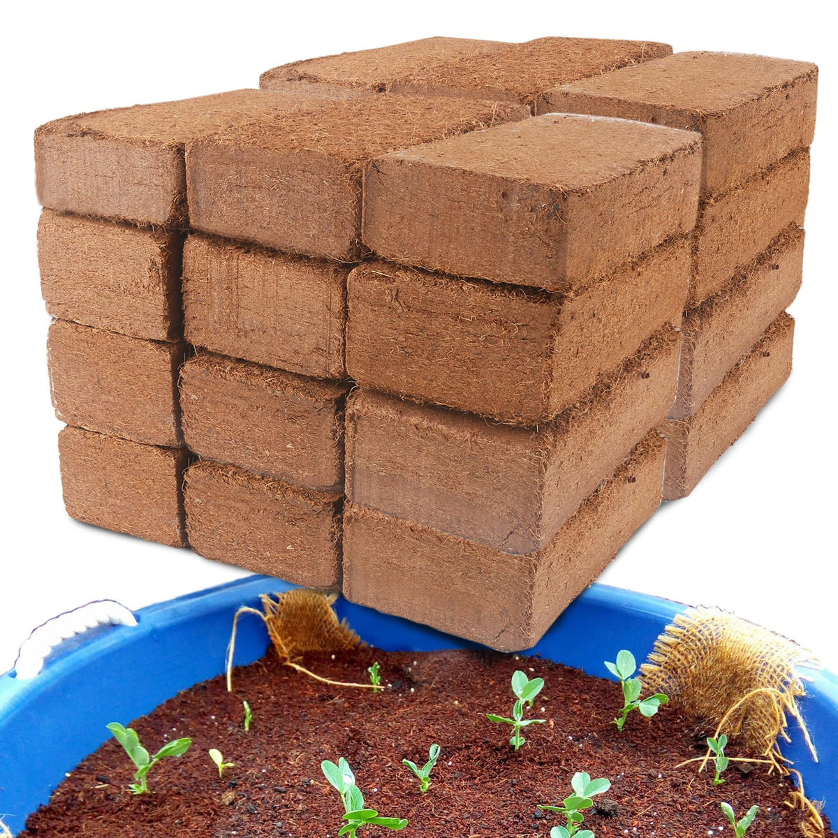 CJGQ front packaging showing 24-pack coco coir bricks and compact storage benefit