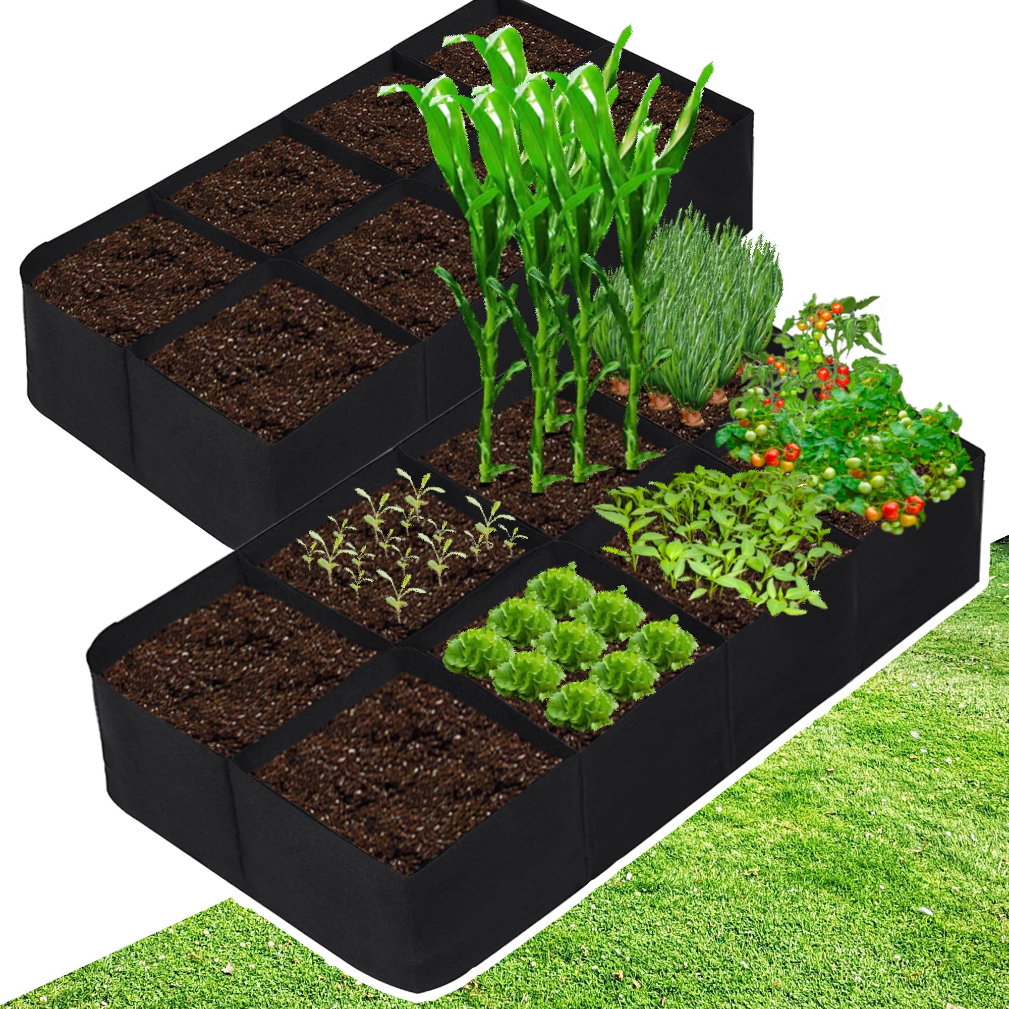 CJGQ front view of 3x6ft grow bags showing planting layout and space saving benefit