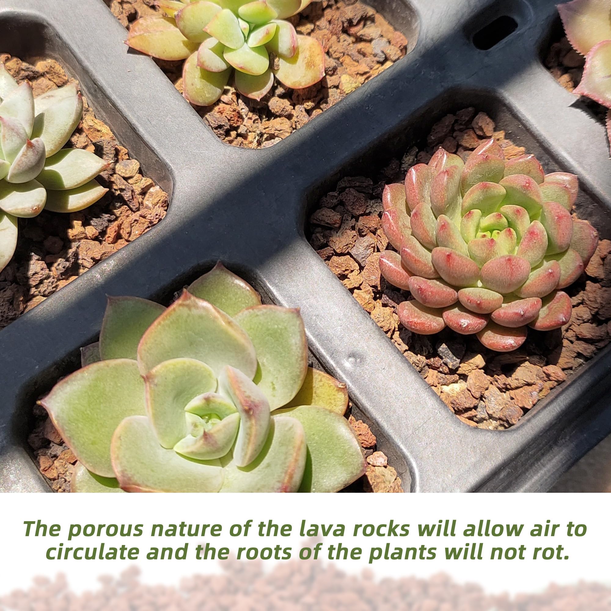 CJGQ lava rocks used in succulent pot improving drainage