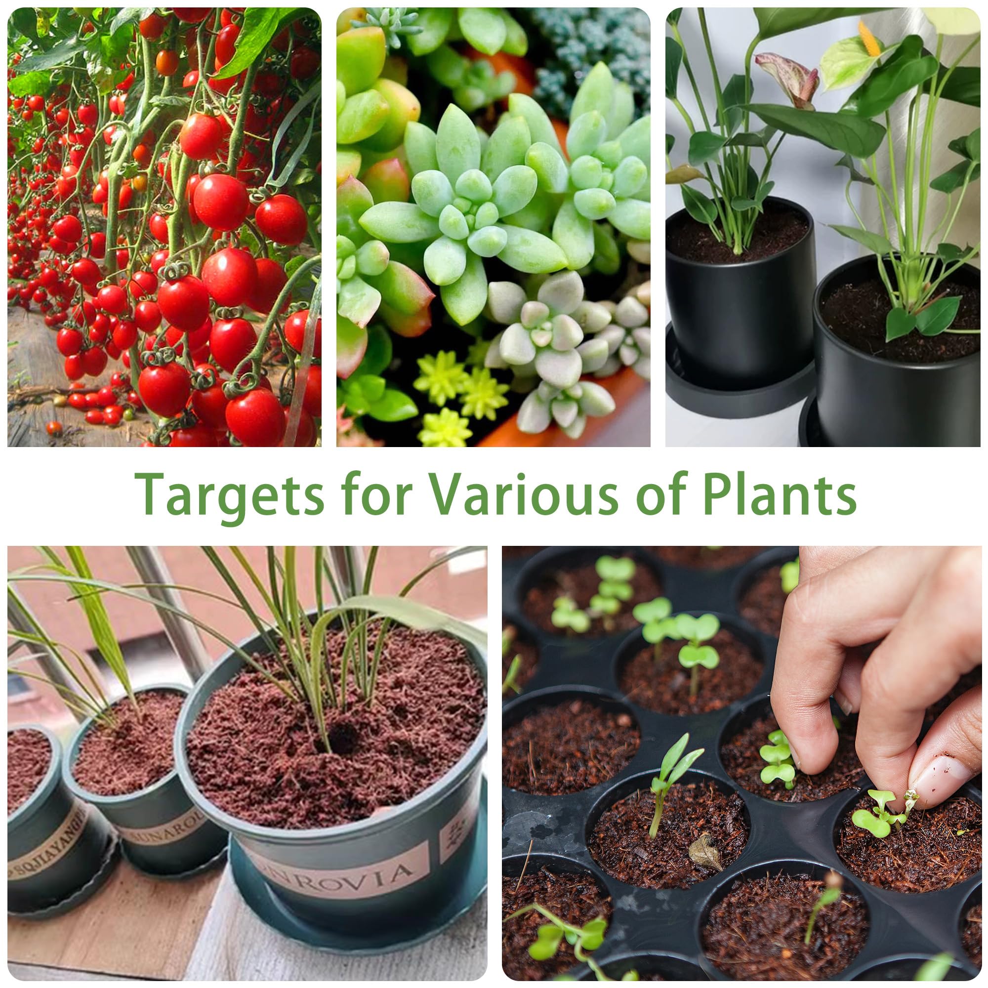 CJGQ used in a balcony container garden highlighting versatile planting support