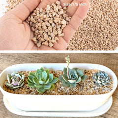 cjgq maifan stones used in succulent pot preventing soil splash and improving look