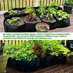 CJGQ top view revealing eight-cell partition layout for organized planting