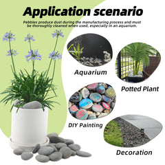 CJGQ pathway with stones illustrating low-maintenance landscaping advantage