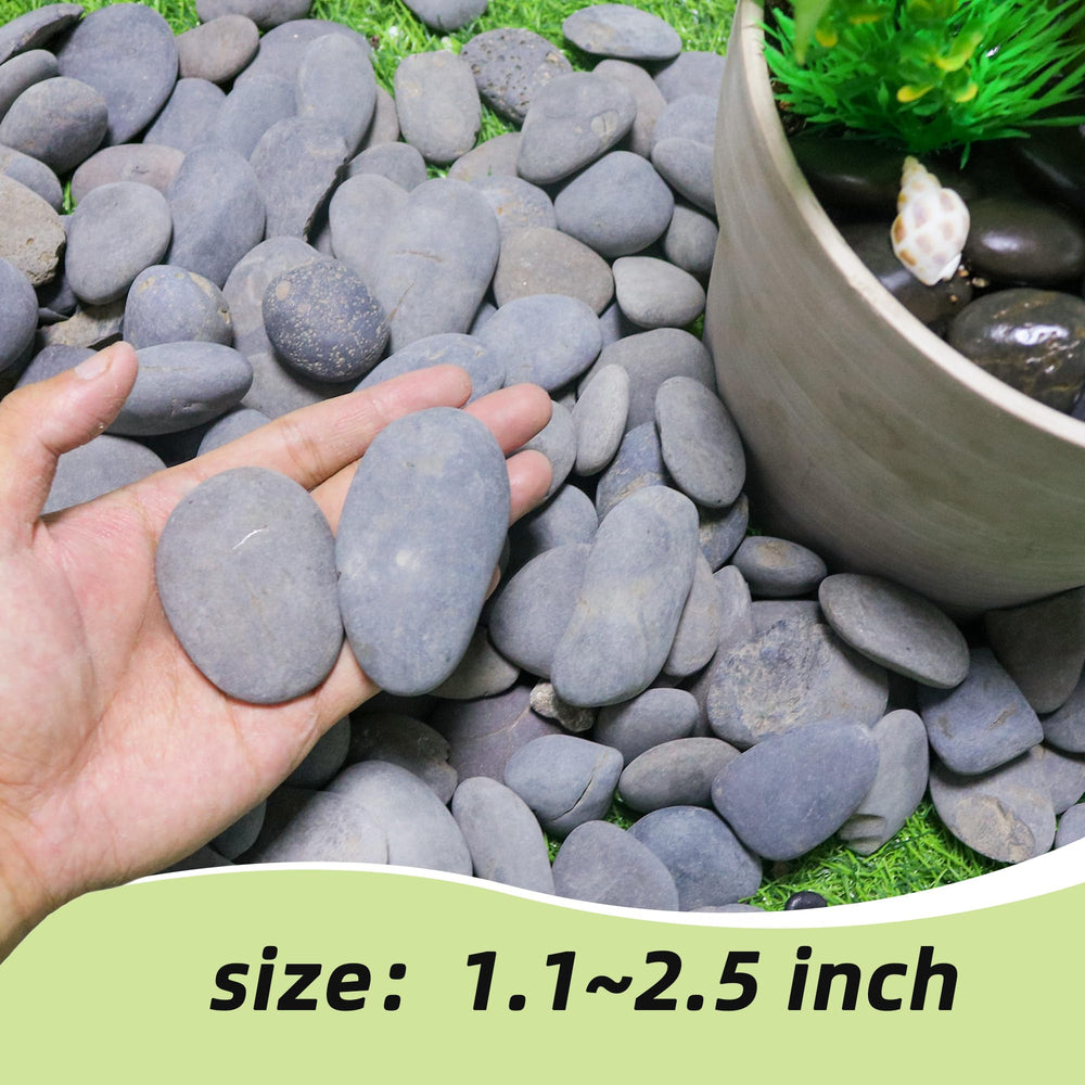 CJGQ pebbles in a plant pot providing improved drainage and tidy mulch look