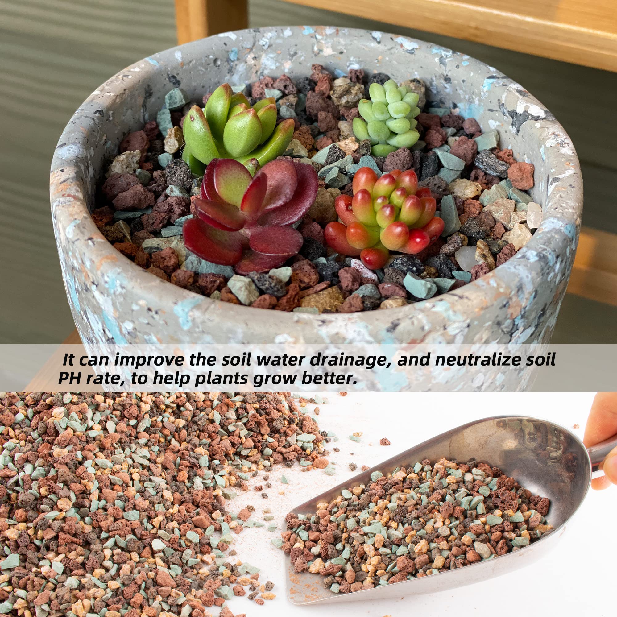 CJGQ stones in a planter with succulent showing improved soil aeration