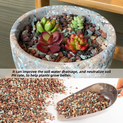 CJGQ stones in a planter with succulent showing improved soil aeration