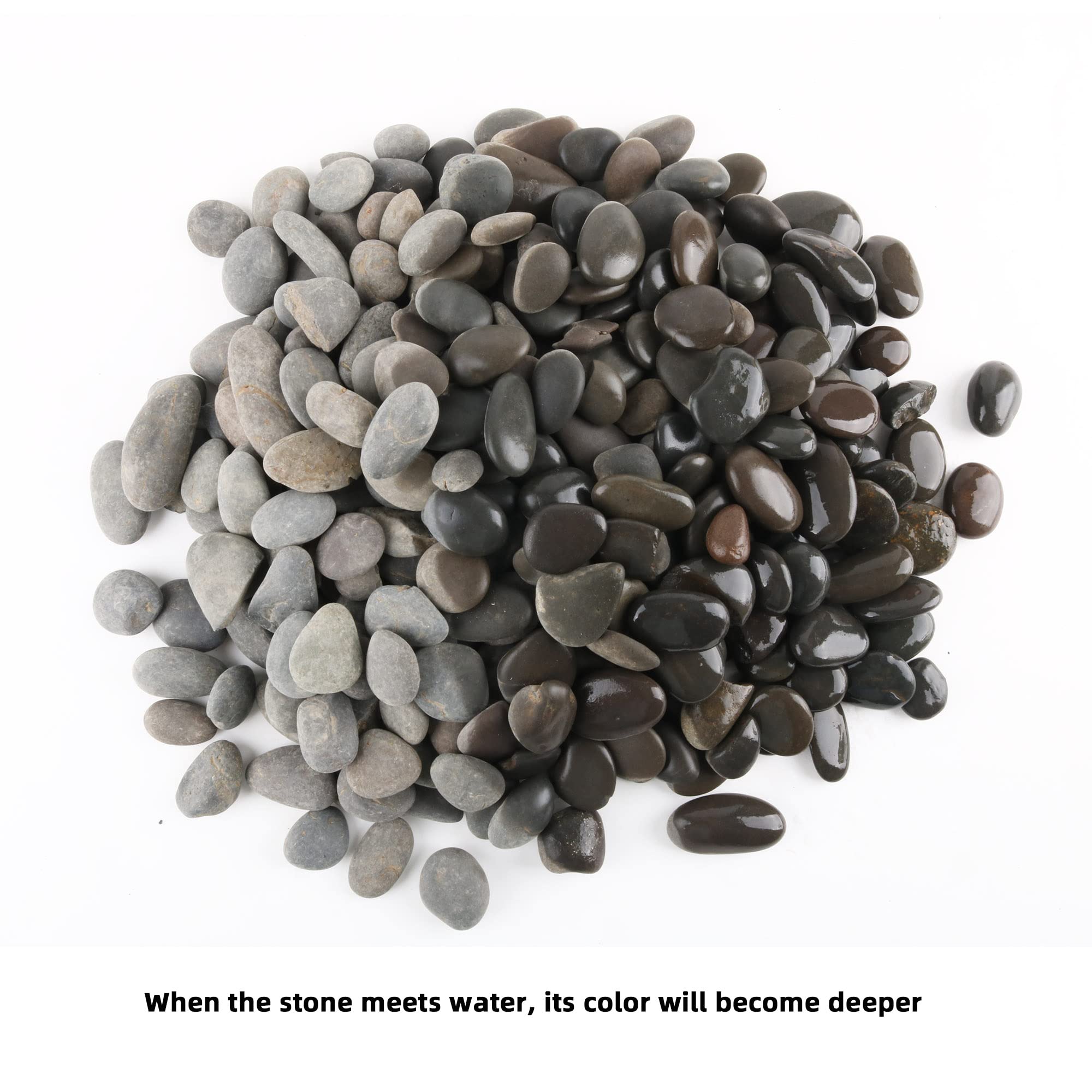 Hand holding a CJGQ pebble to show 1-inch scale and easy placement benefit