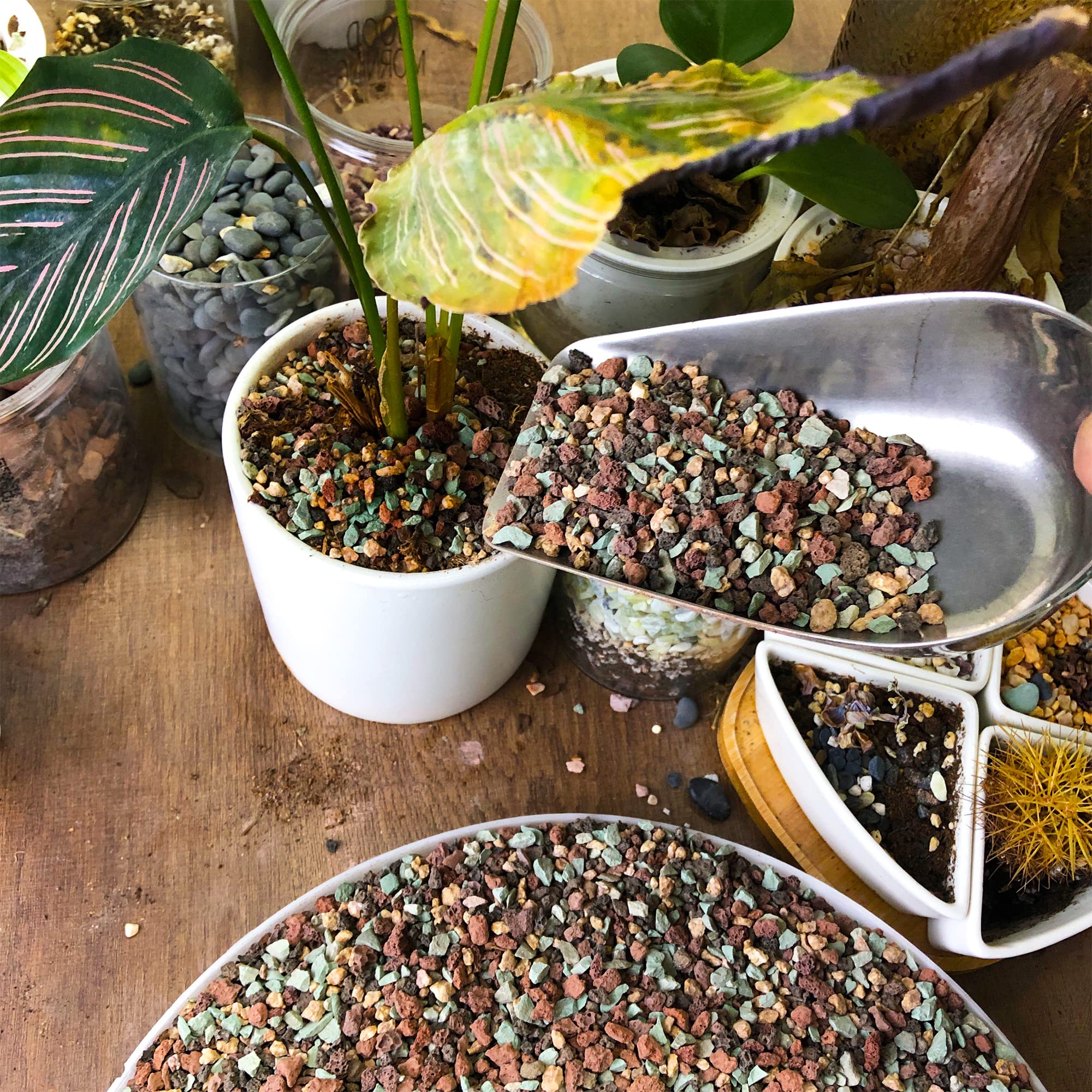 CJGQ decorative terrarium scene with mixed stones enhancing aesthetics