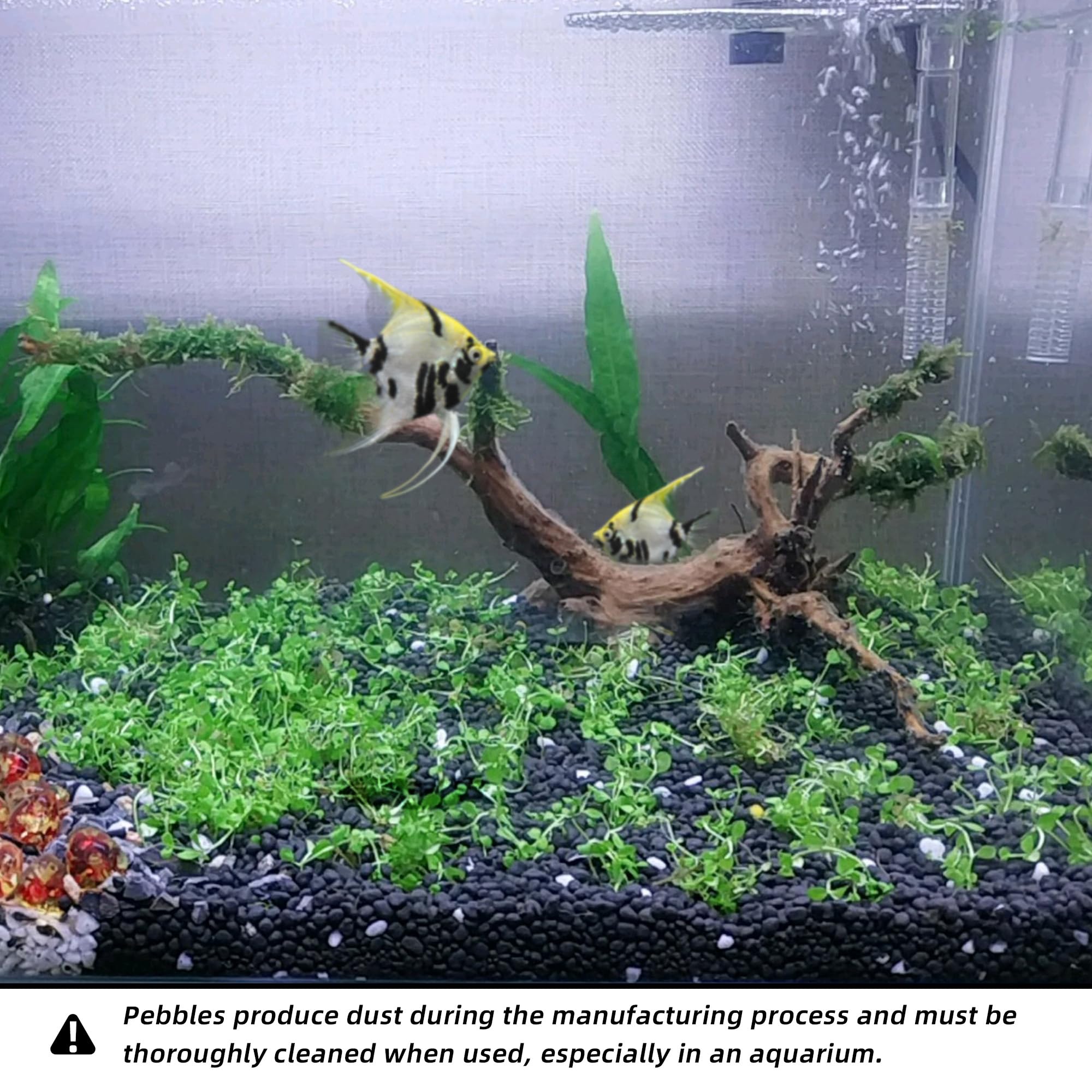 CJGQ vase centerpiece setting enhances decor with modern contrast