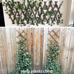 CJGQ expanded trellis full height installed outdoors supporting vines benefit