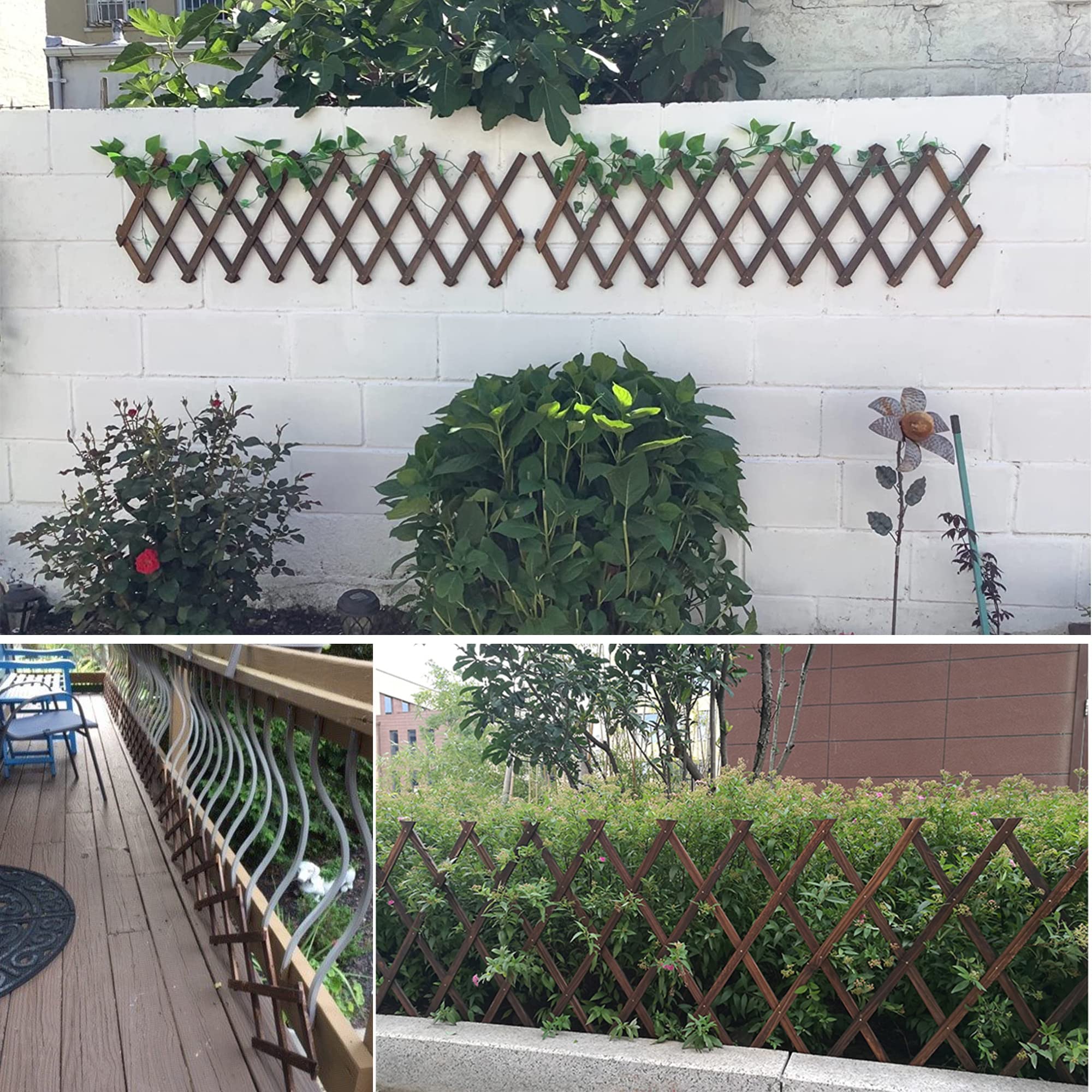 CJGQ indoor wall-mounted lattice used as plant display and photo hanger benefit