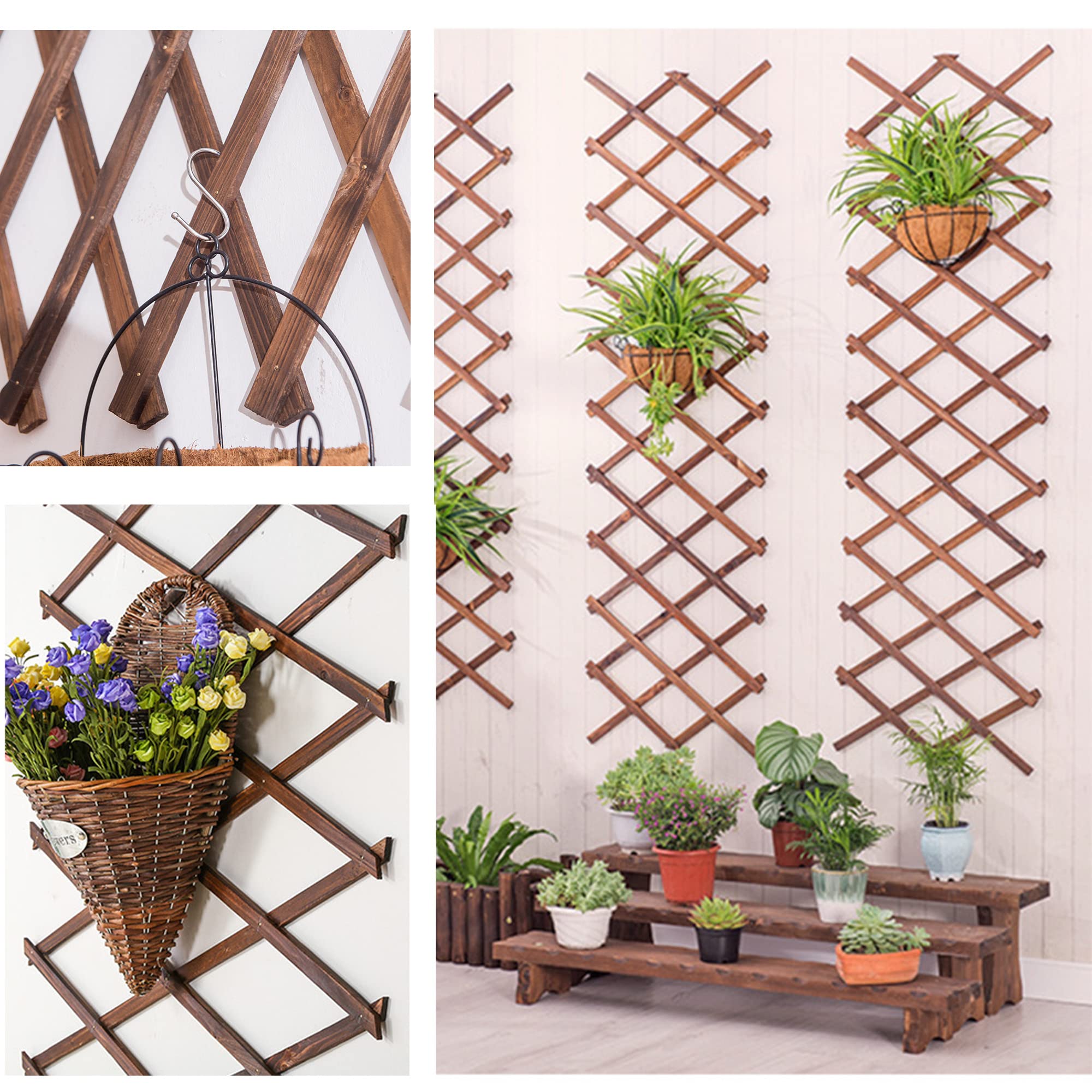 CJGQ trellis supporting climbing plants in a garden creating vertical growth benefit