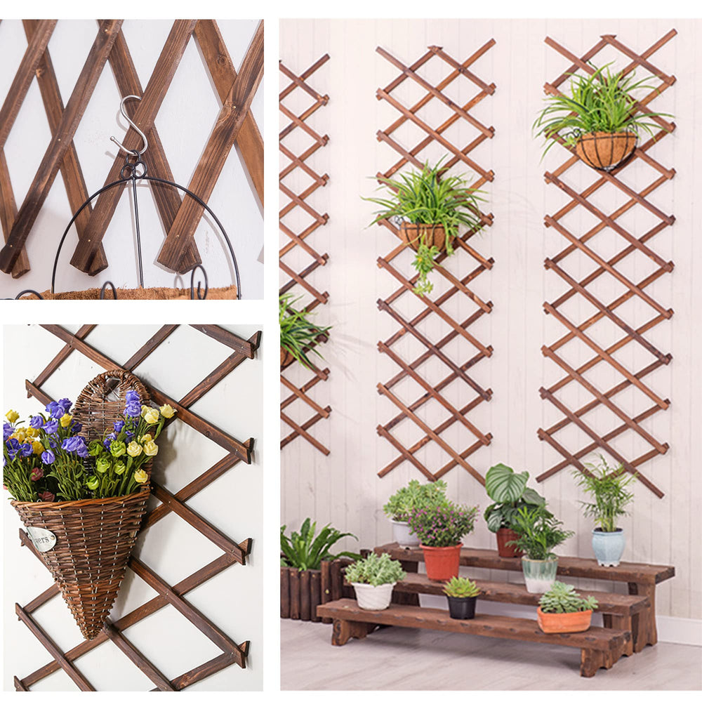 CJGQ trellis supporting climbing plants in a garden creating vertical growth benefit