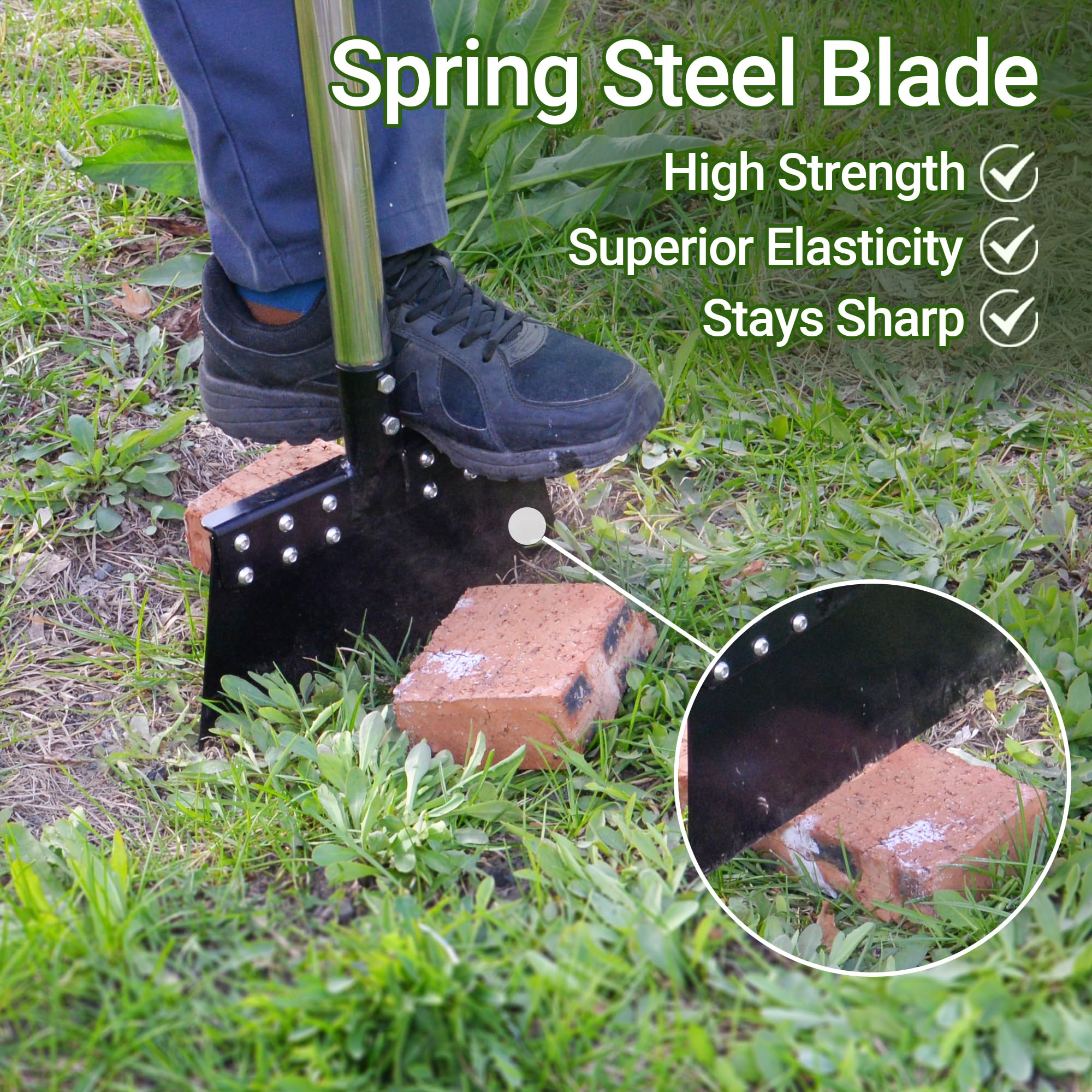 CKLT close-up of 11-inch spring steel blade edge showing durable sharpness