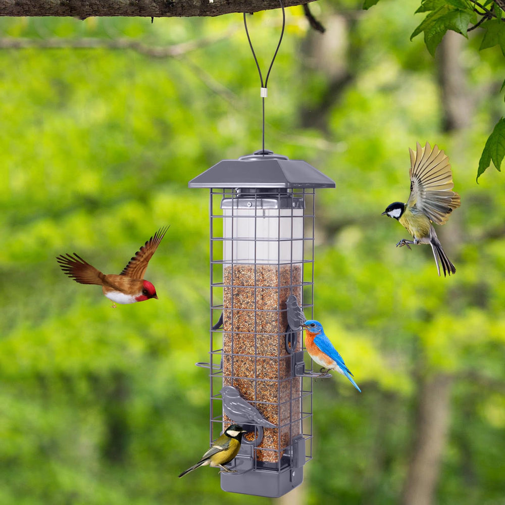 Ckoytals birds feeding on ports demonstrating peaceful backyard viewing