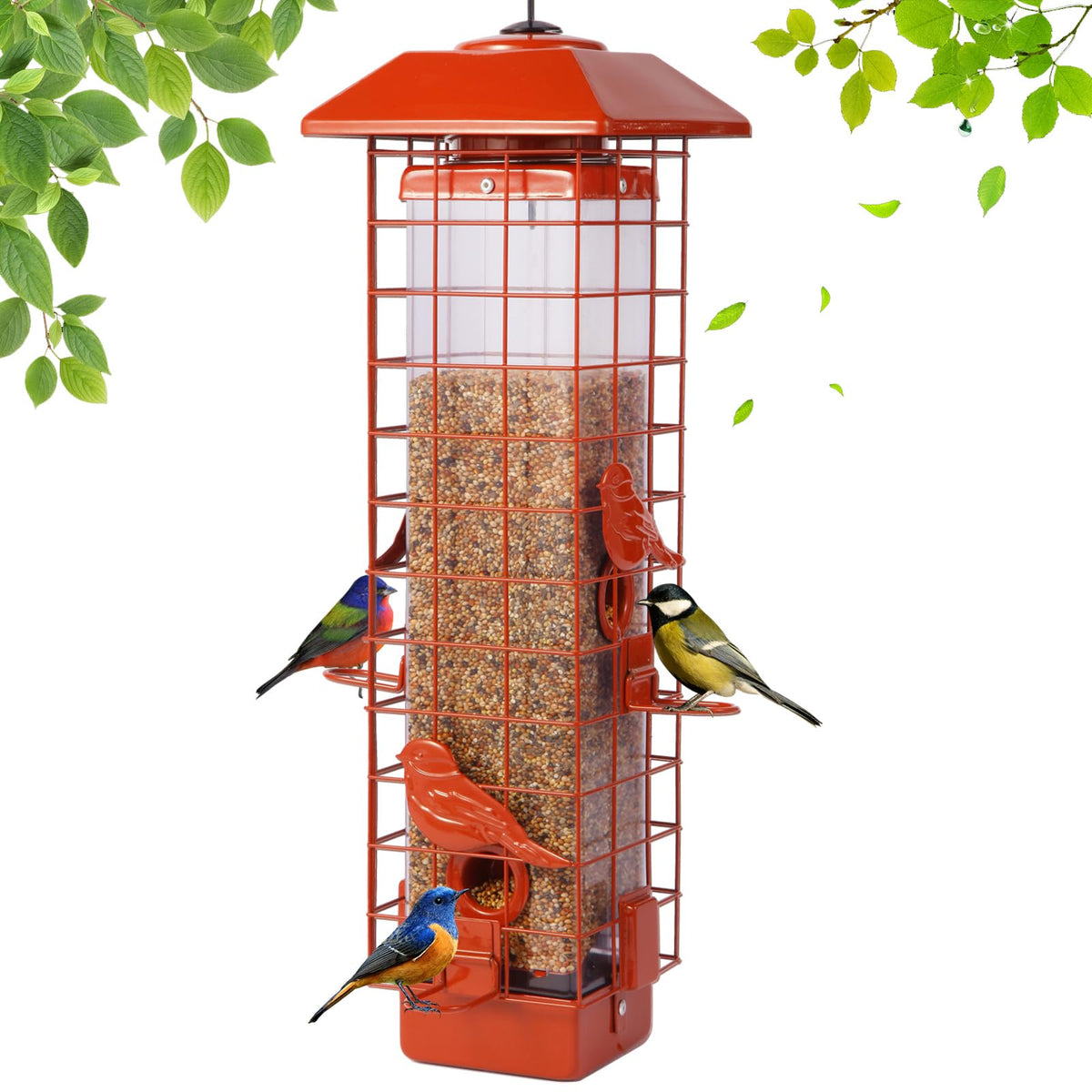 Ckoytals front view showing orange metal feeder and clear seed tube for easy monitoring