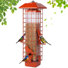 Ckoytals front view showing orange metal feeder and clear seed tube for easy monitoring