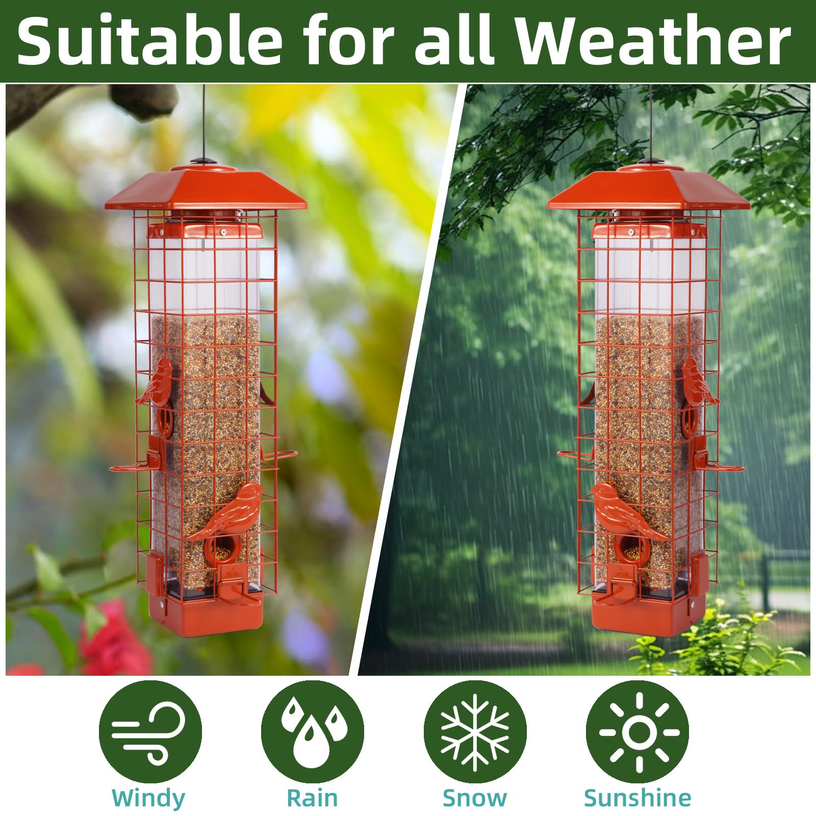 Ckoytals feeder hanging in tree attracting backyard birds and reducing squirrel access