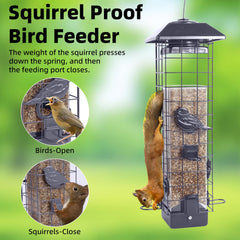 Ckoytals feeding ports and U-shaped perches enabling multiple birds