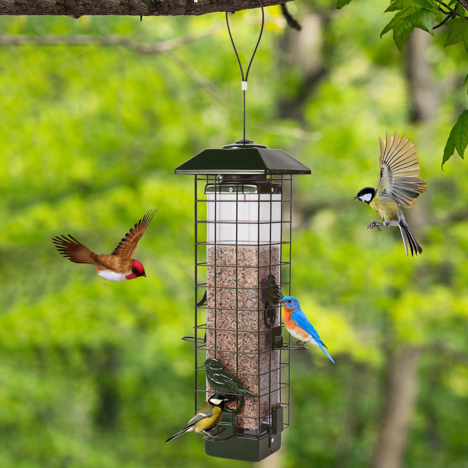 Ckoytals hanging in garden lifestyle scene attracting backyard birds for viewing