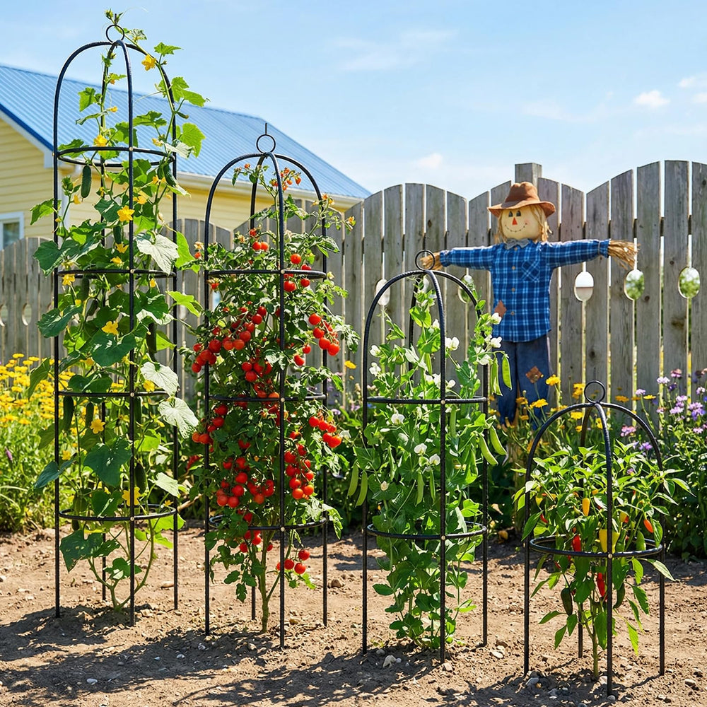 CL FUN trellis supporting rose vines for neat vertical bloom display