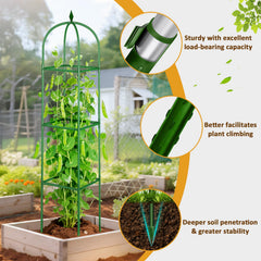 CL FUN assembled trellis placed in a pot supporting tomato stems and fruit